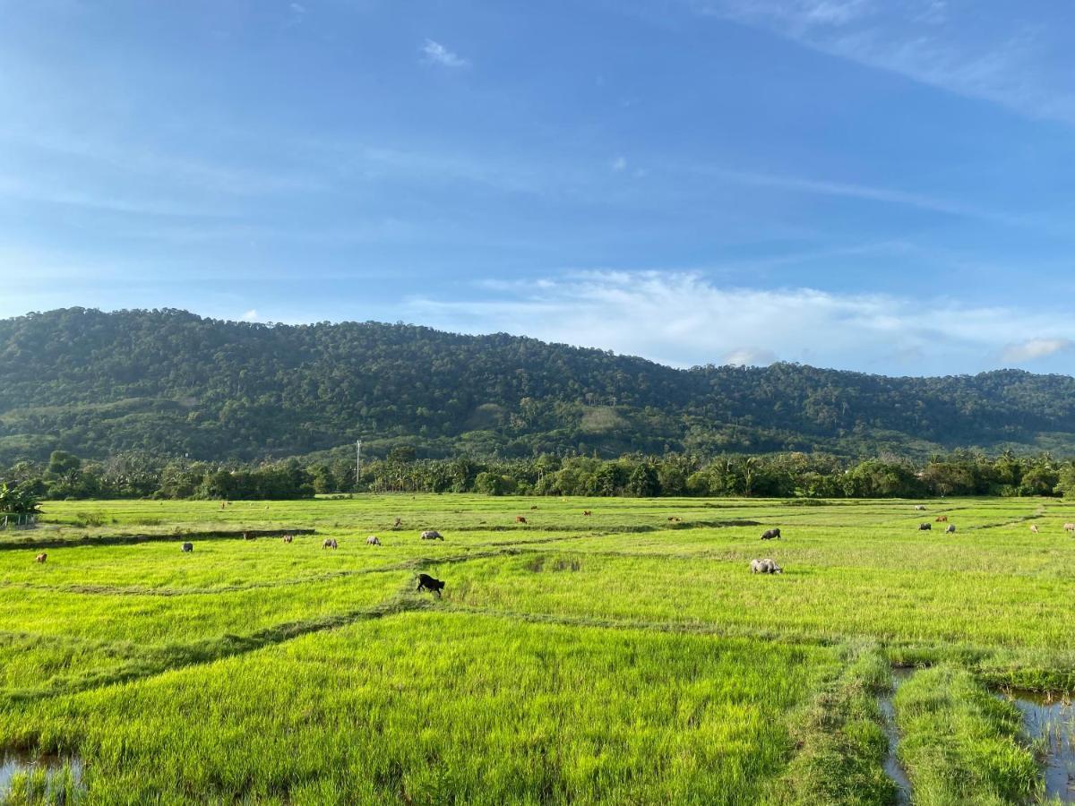 Lamanleman Langkawi Pantai Cenang  Eksteriør billede